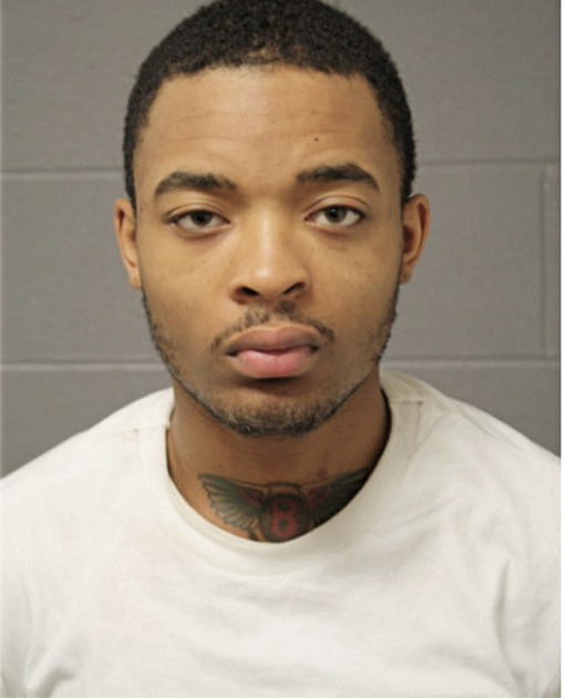 BRANDON T BRYANT, Cook County, Illinois