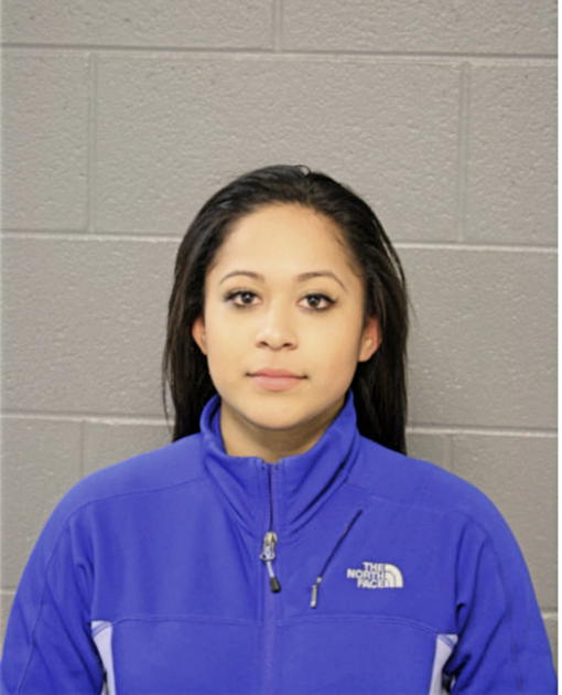 CATHERINE ERICA CASTILLO DEL TORO, Cook County, Illinois