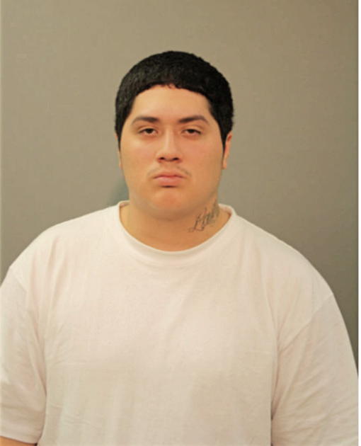JOSE D CASTILLO, Cook County, Illinois