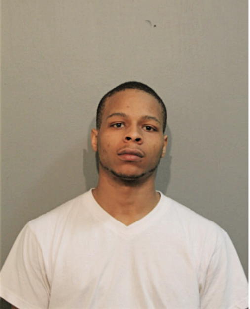 MARTIN L DAVIS, Cook County, Illinois