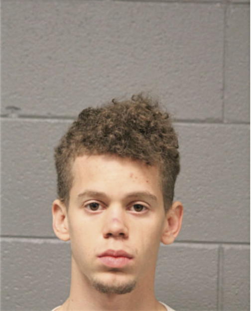 CHRISTOPHER J FAGAN, Cook County, Illinois