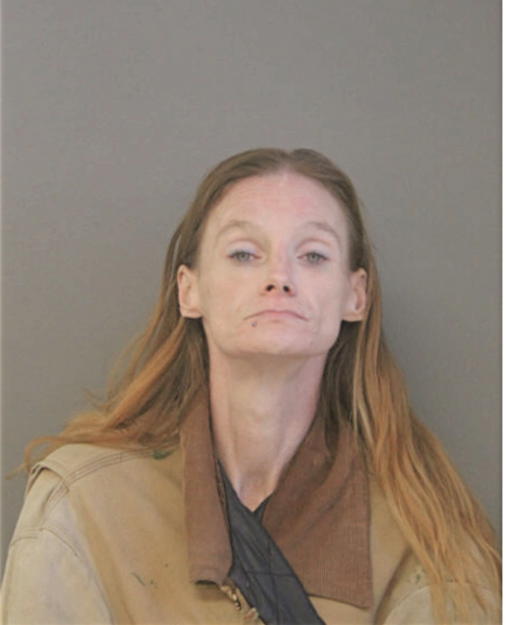 CARRIE A FARLEY, Cook County, Illinois