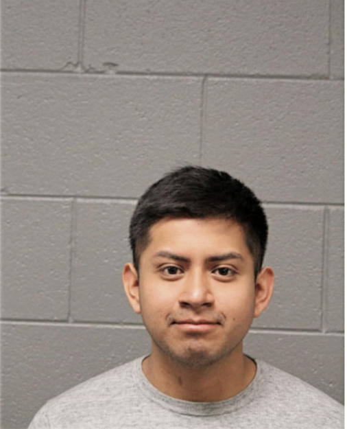 VICTOR A GUZMAN, Cook County, Illinois