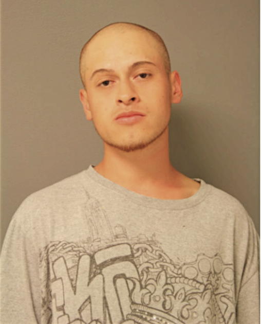 FABIAN MAGDALENO, Cook County, Illinois