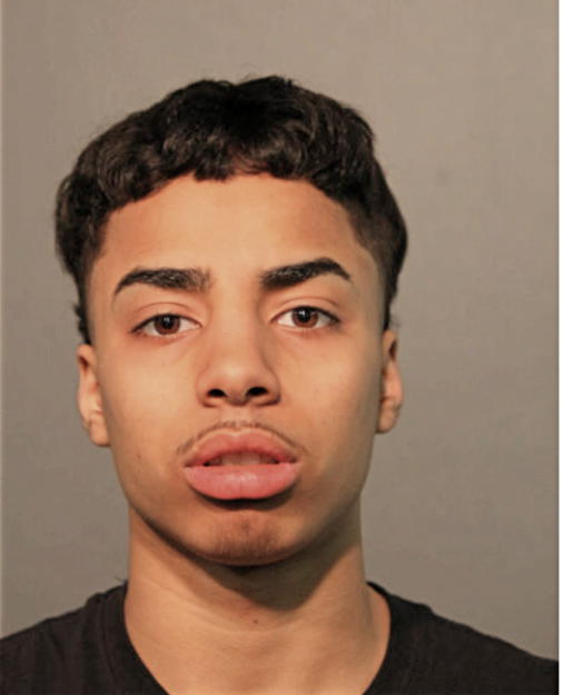 CHRISTIAN A MARTINEZ, Cook County, Illinois