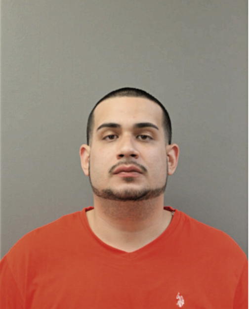 GARY F REATEGUI, Cook County, Illinois