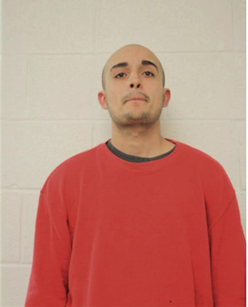 LUIS M RODRIGUEZ, Cook County, Illinois