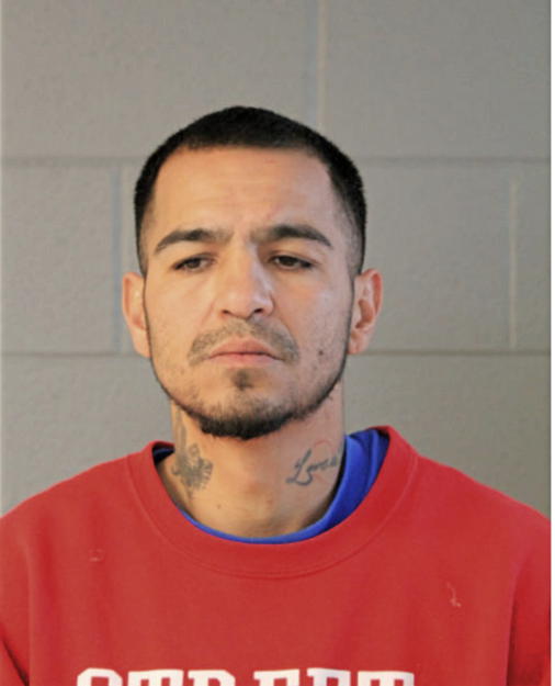 ANTHONY J SANCHEZ, Cook County, Illinois