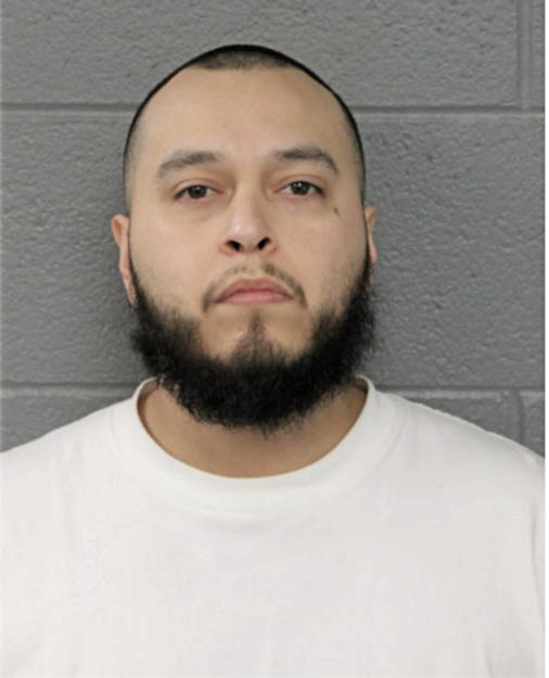 NOEL SANCHEZ, Cook County, Illinois