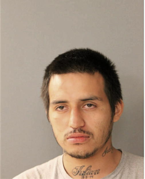 JULIAN A VELA, Cook County, Illinois