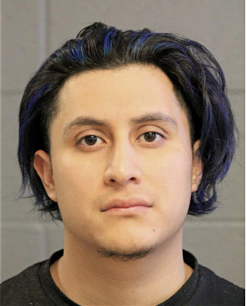 EVERARDO ANGEL VERGARA, Cook County, Illinois