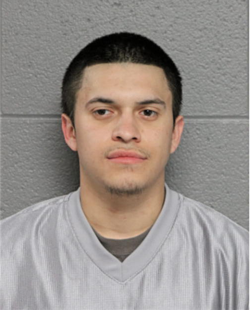 ALEXIS ANDRADE, Cook County, Illinois