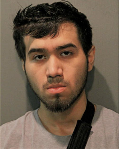 RAUL CARPINTERO, Cook County, Illinois