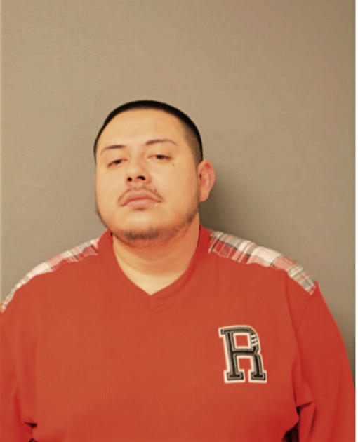 NOEL R CASTILLO, Cook County, Illinois