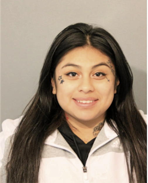 NOELI CASTILLO, Cook County, Illinois
