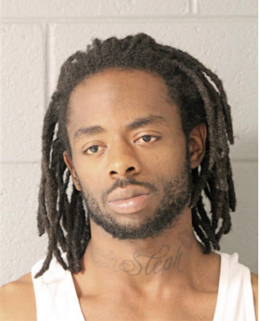 RYAN C COLLINS, Cook County, Illinois