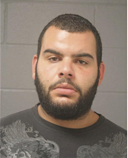 MOHAMED H ELAYYAN, Cook County, Illinois