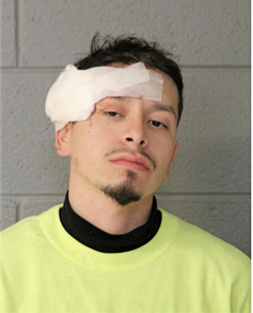 DAVID ESTRADA, Cook County, Illinois