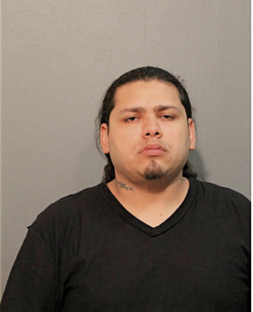 MICHAEL A FIGUEROA, Cook County, Illinois