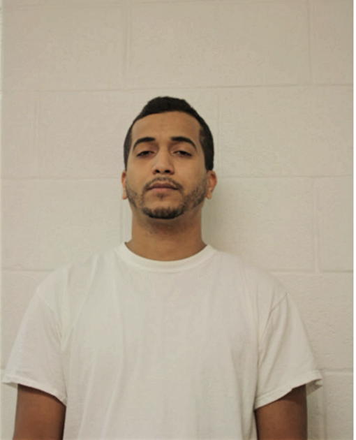 ANTHONY J GONZALEZ, Cook County, Illinois