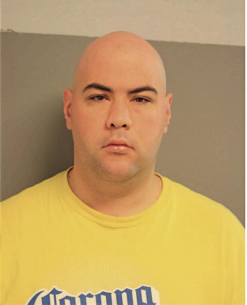 DANIEL E GRUNAUER, Cook County, Illinois