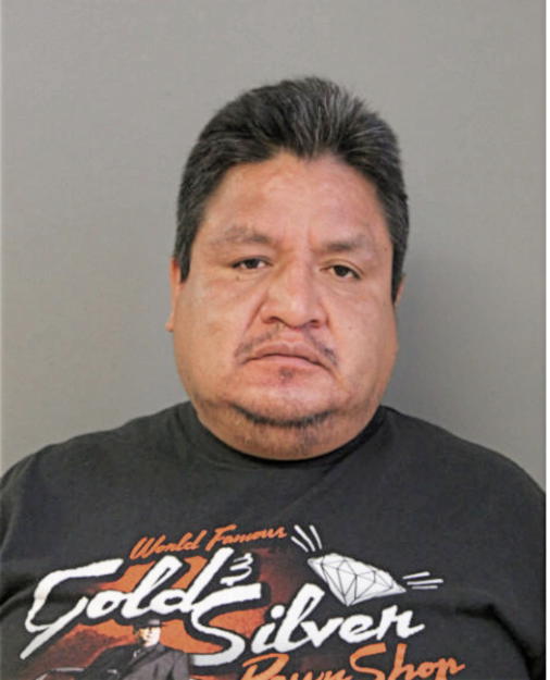 FLAVIO GUACHICHULLCA, Cook County, Illinois