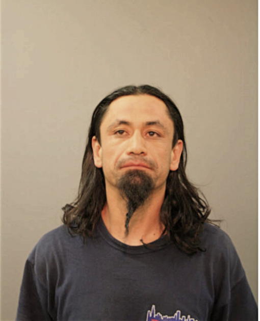 HOMERO GUZMAN-BAHENA, Cook County, Illinois