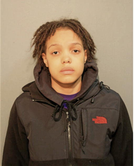 ERIKA L HALL, Cook County, Illinois