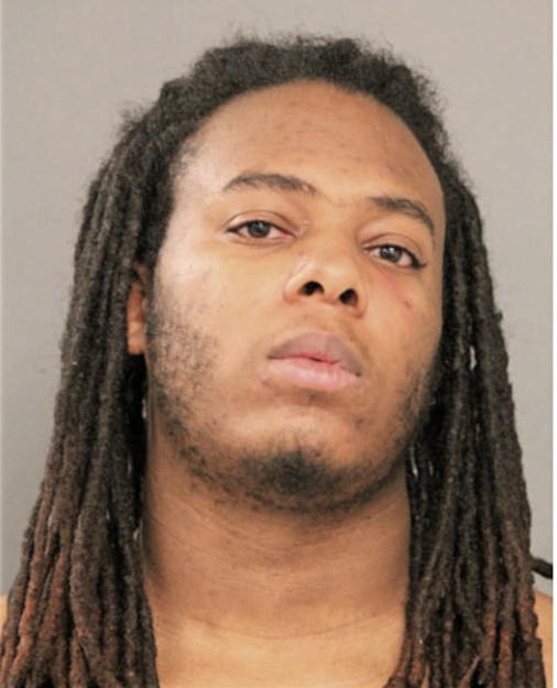 BRIAN C HENRY, Cook County, Illinois