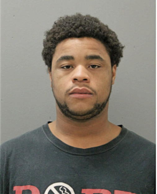 DAVID J JACKSON, Cook County, Illinois
