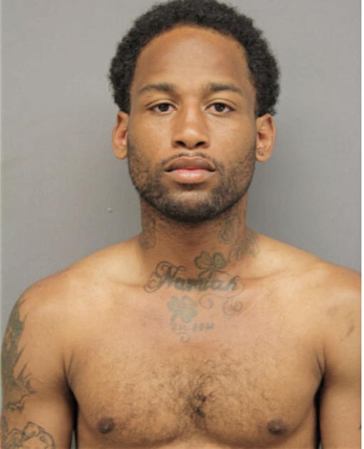 REGINALD J LINDSEY, Cook County, Illinois