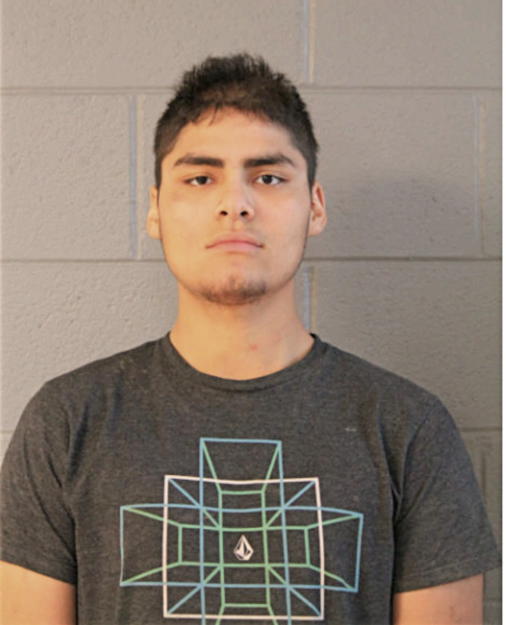 ALEJANDRO MARTINEZ, Cook County, Illinois