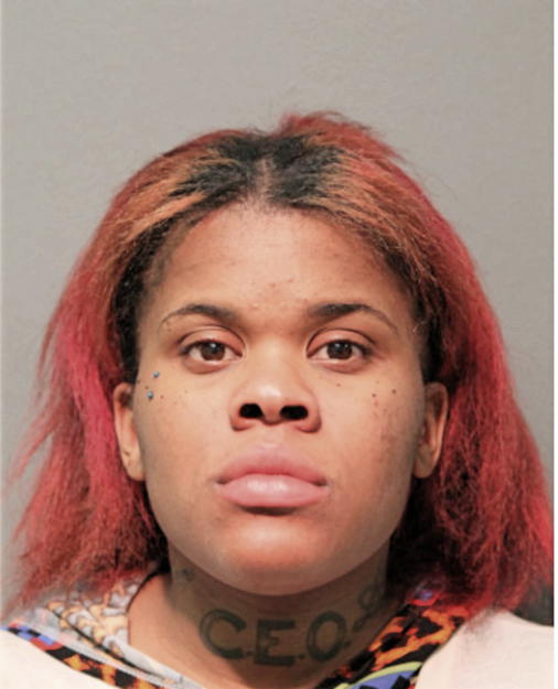 ROYA T MITCHELL, Cook County, Illinois