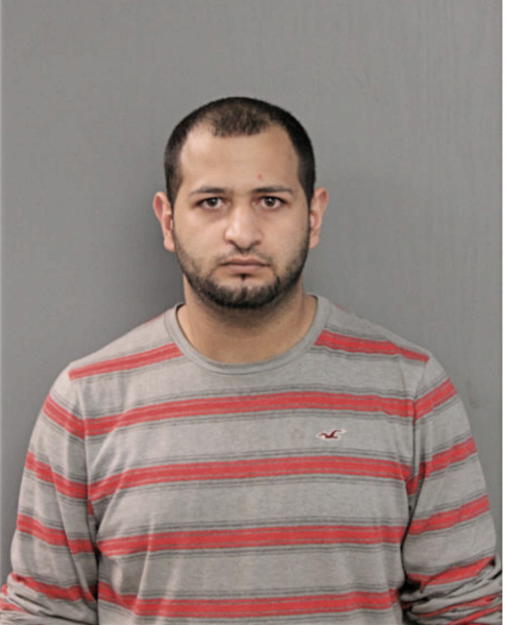 MOHAMMAD F MUATAN, Cook County, Illinois