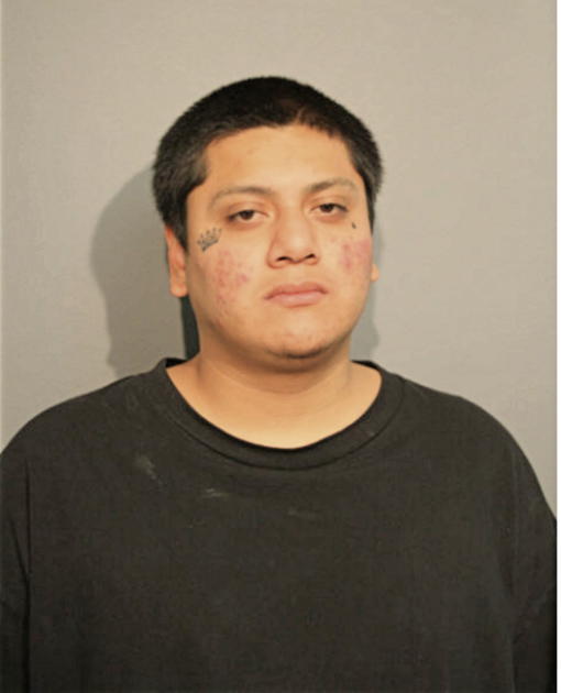 ALEJANDRO OVIEDO, Cook County, Illinois