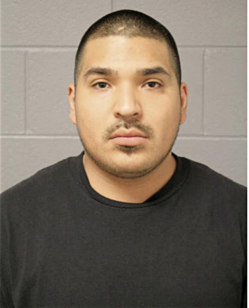 ORTEGA-GOMEZ RENE, Cook County, Illinois
