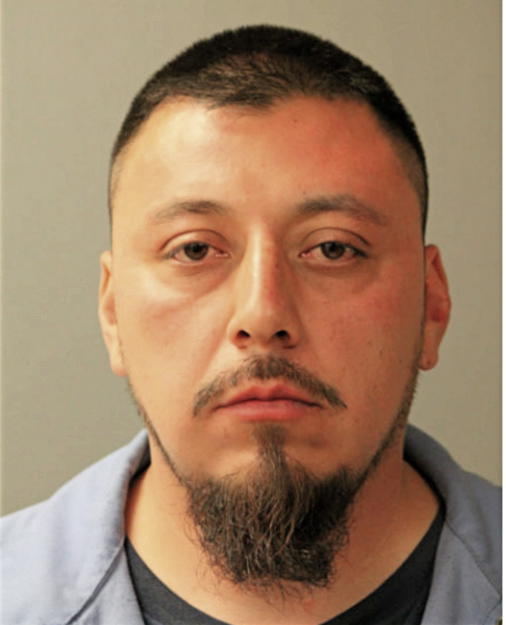 DAVID ROJO, Cook County, Illinois