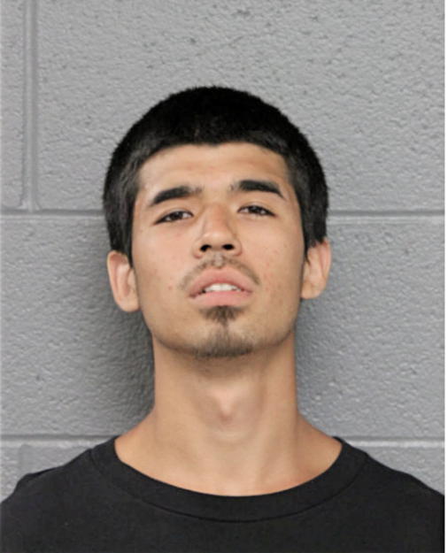 RODOLFO SANDOVAL, Cook County, Illinois