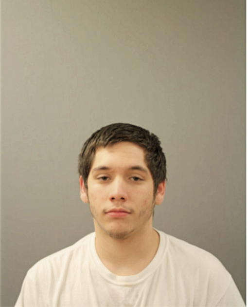 GREGORY M SEDANO, Cook County, Illinois