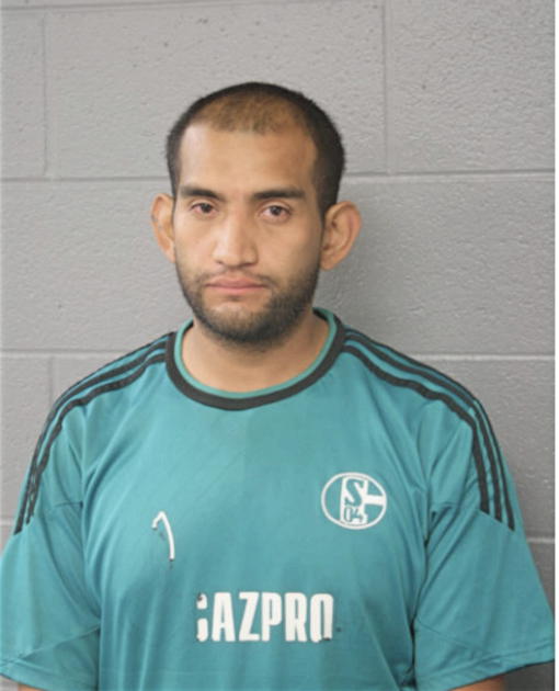 GUSTAVO A SUAZO, Cook County, Illinois