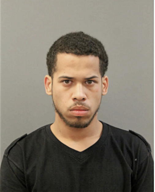 JOSHUA VEGA, Cook County, Illinois