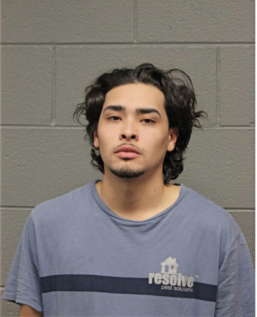 MIGUEL R VENCES-DIAZ, Cook County, Illinois