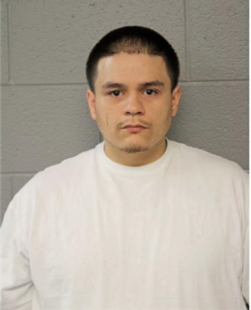 ALEJANDRO ALANIZ, Cook County, Illinois