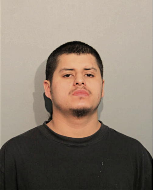 SEBASTIAN CASTENADA, Cook County, Illinois