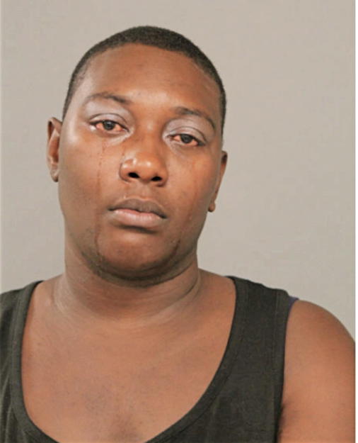 SHAMEKA L CUMMINGS, Cook County, Illinois
