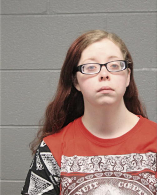 BRIDGET S DOHERTY, Cook County, Illinois