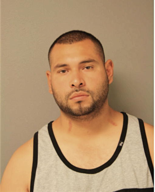 JESUS DOMINGUEZ, Cook County, Illinois