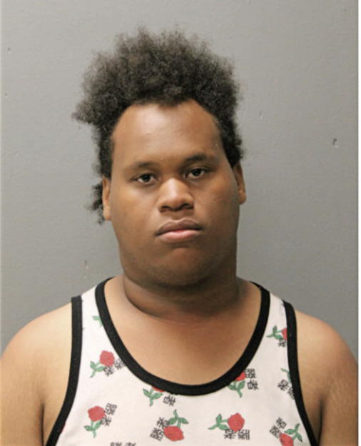 JOHN L DOTSON, Cook County, Illinois