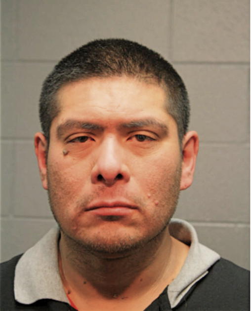 JAMES K GOSCINIAK, Cook County, Illinois