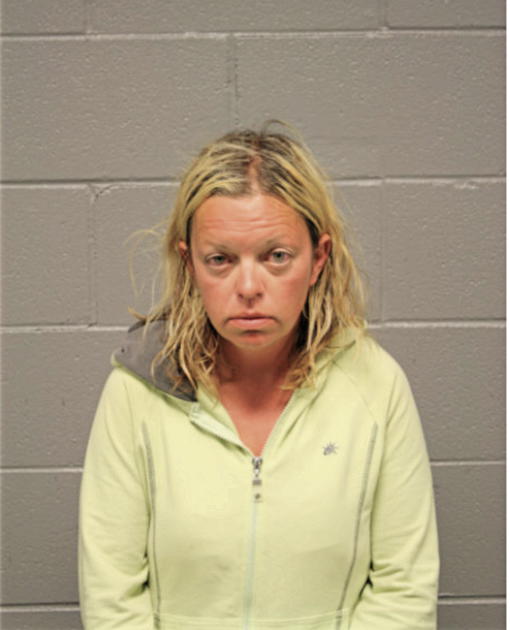 ELIZABETH A GRAHAM, Cook County, Illinois